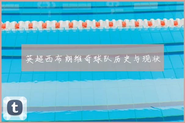 英超西布朗维奇球队历史与现状