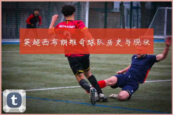 英超西布朗维奇球队历史与现状